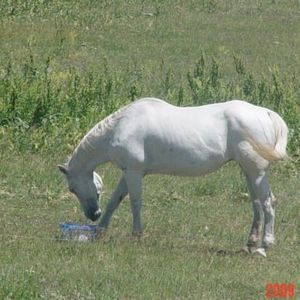 Meet your Posher, Cynthia